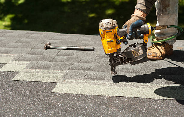 Best Roof Moss and Algae Removal  in Williamsburg, OH